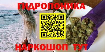 PSILOCYBIN Татарск